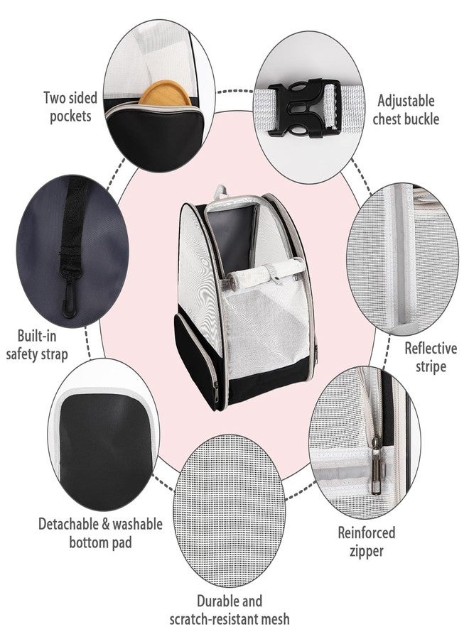 KittuPet حقيبة ظهر لحمل القطط من كيتو بيت، حقيبة معتمدة من شركات الطيران لحمل الحيوانات الأليفة الصغيرة من الكلاب والقطط والجراء والأرانب، حقيبة ظهر شبكية جيدة التهوية للحيوانات الأليفة مناسبة للمشي والتخييم والسفر - Image 5